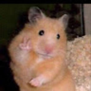 Meet your Posher, Adaneris